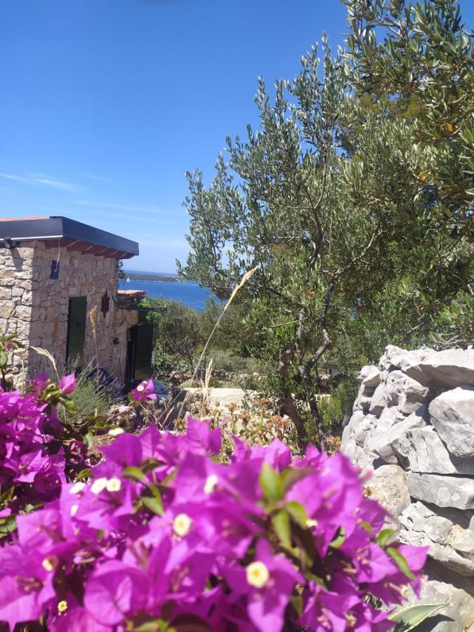 Robinson House Kata Villa Милна Екстериор снимка